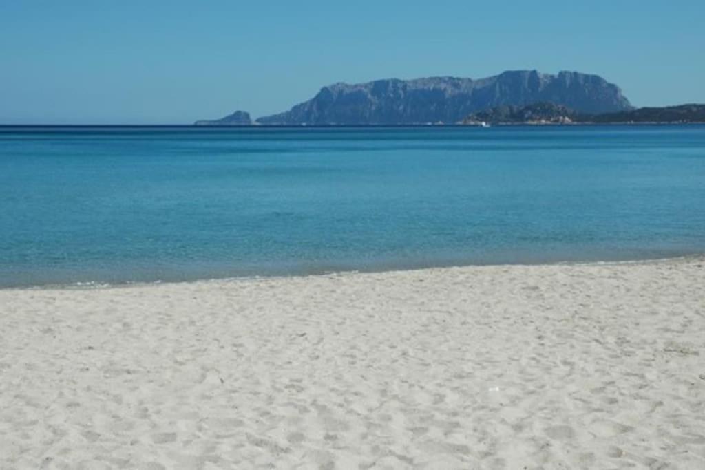 Апартаменти Sardegna Casa A 250 Metri Dal Mare Con Piscina Ольбія Екстер'єр фото
